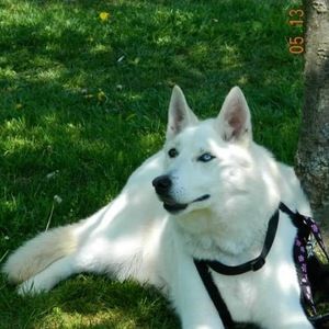 Meet your Posher, Nancy